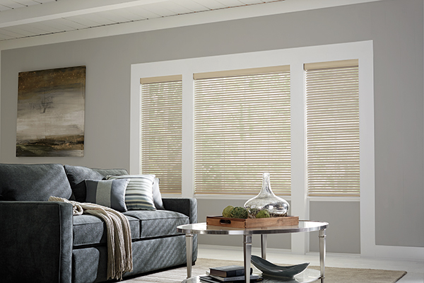Window Blinds